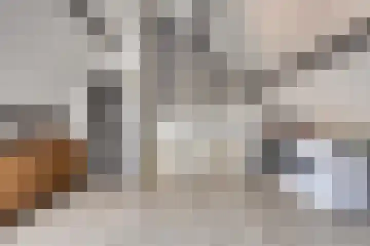 Dukaatvlinder 21 Hellevoetsluis thumbnail 21