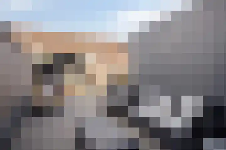 Dukaatvlinder 21 Hellevoetsluis thumbnail 22