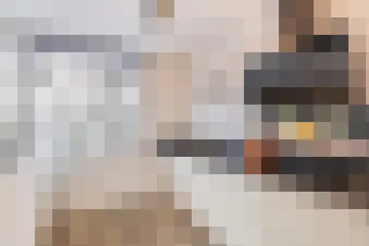 Dukaatvlinder 7 Hellevoetsluis thumbnail 10