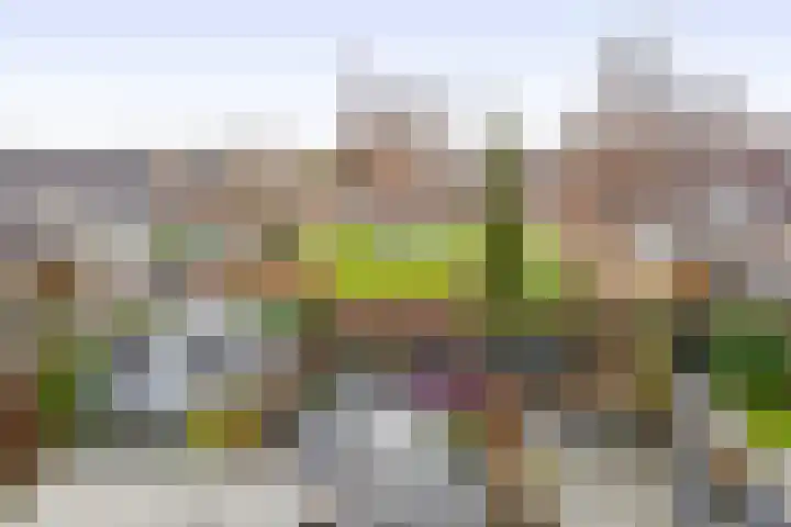Dukaatvlinder 7 Hellevoetsluis thumbnail 28