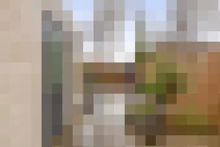 Dukaatvlinder 7 Hellevoetsluis thumbnail 29