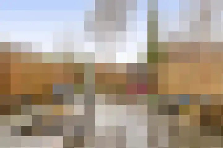 Dukaatvlinder 7 Hellevoetsluis thumbnail 30