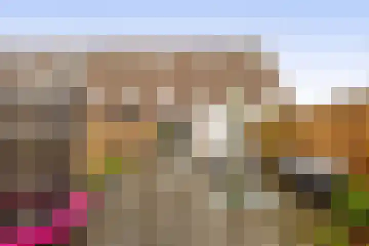 Dukaatvlinder 7 Hellevoetsluis thumbnail 32