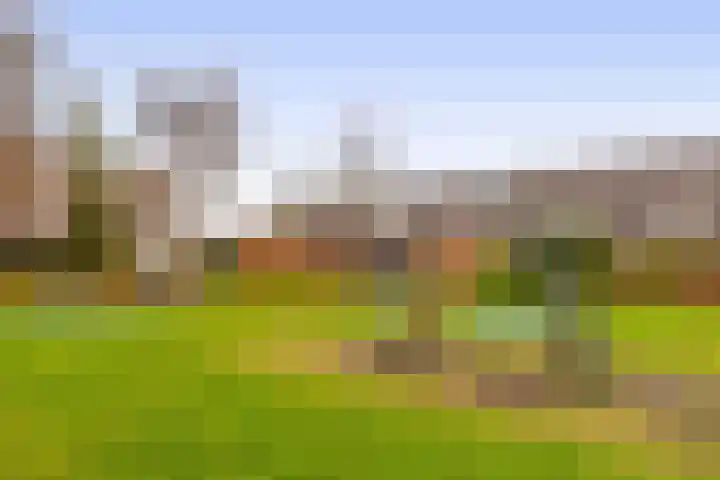 Dukaatvlinder 7 Hellevoetsluis thumbnail 33