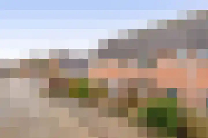 Dukaatvlinder 7 Hellevoetsluis thumbnail 34