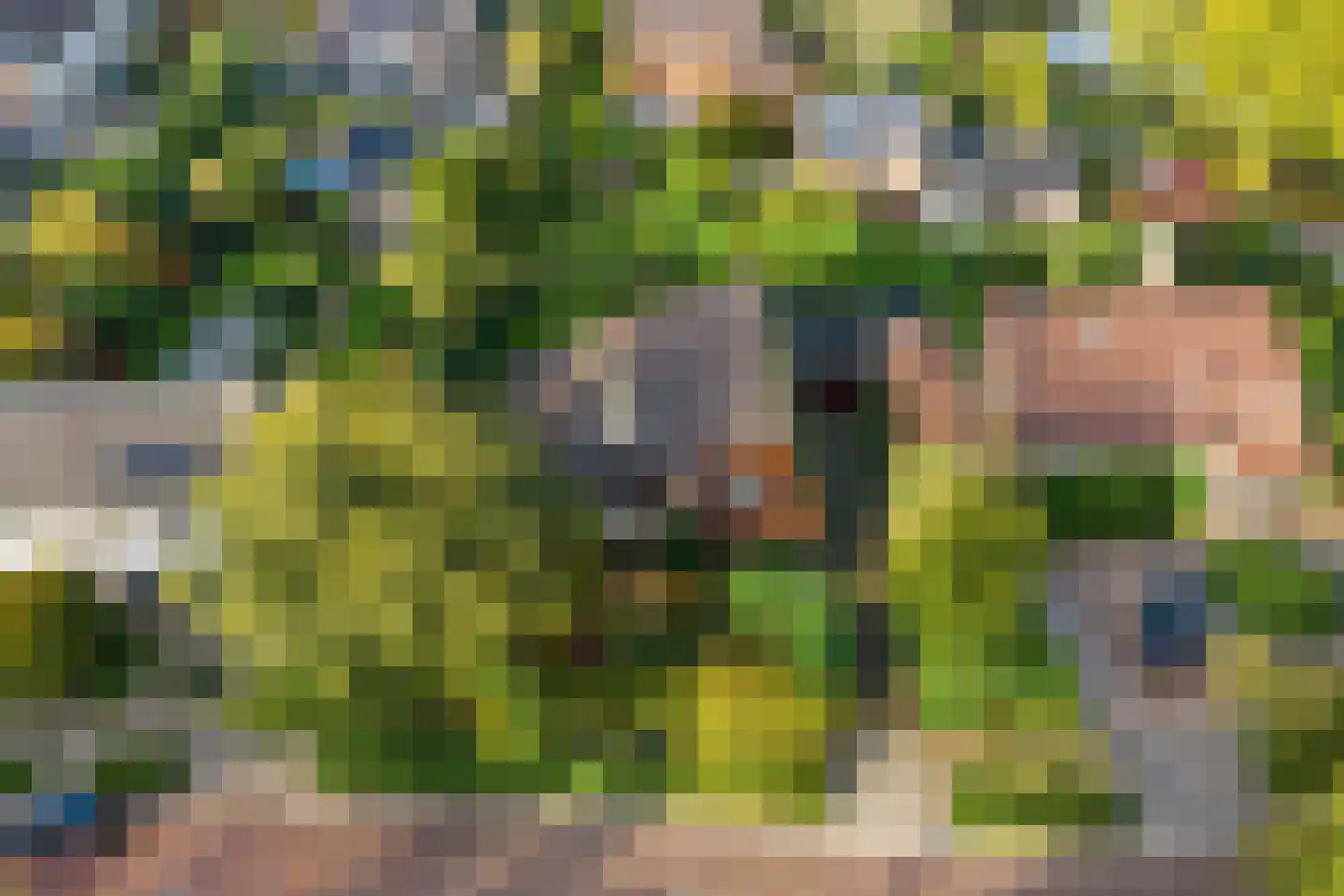 Dukasstraat 10 Heemskerk thumbnail 4
