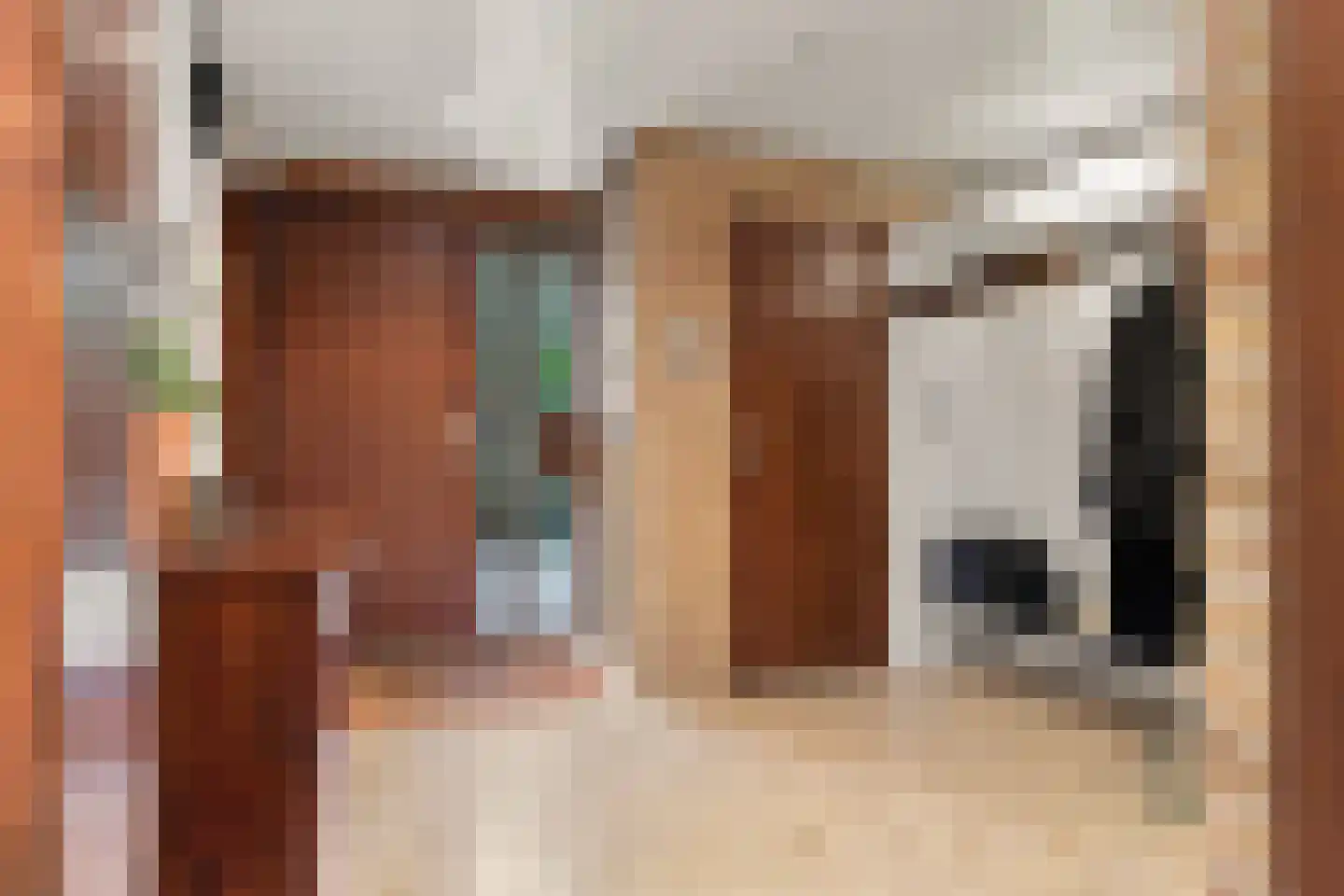 Dukasstraat 10 Heemskerk thumbnail 5