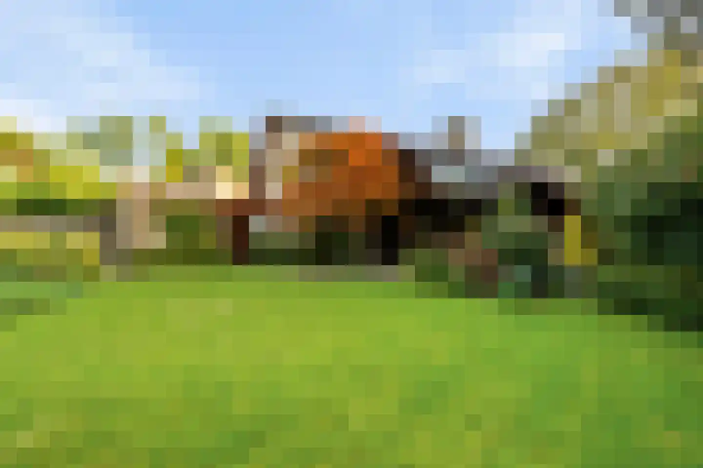 Dukasstraat 10 Heemskerk thumbnail 60