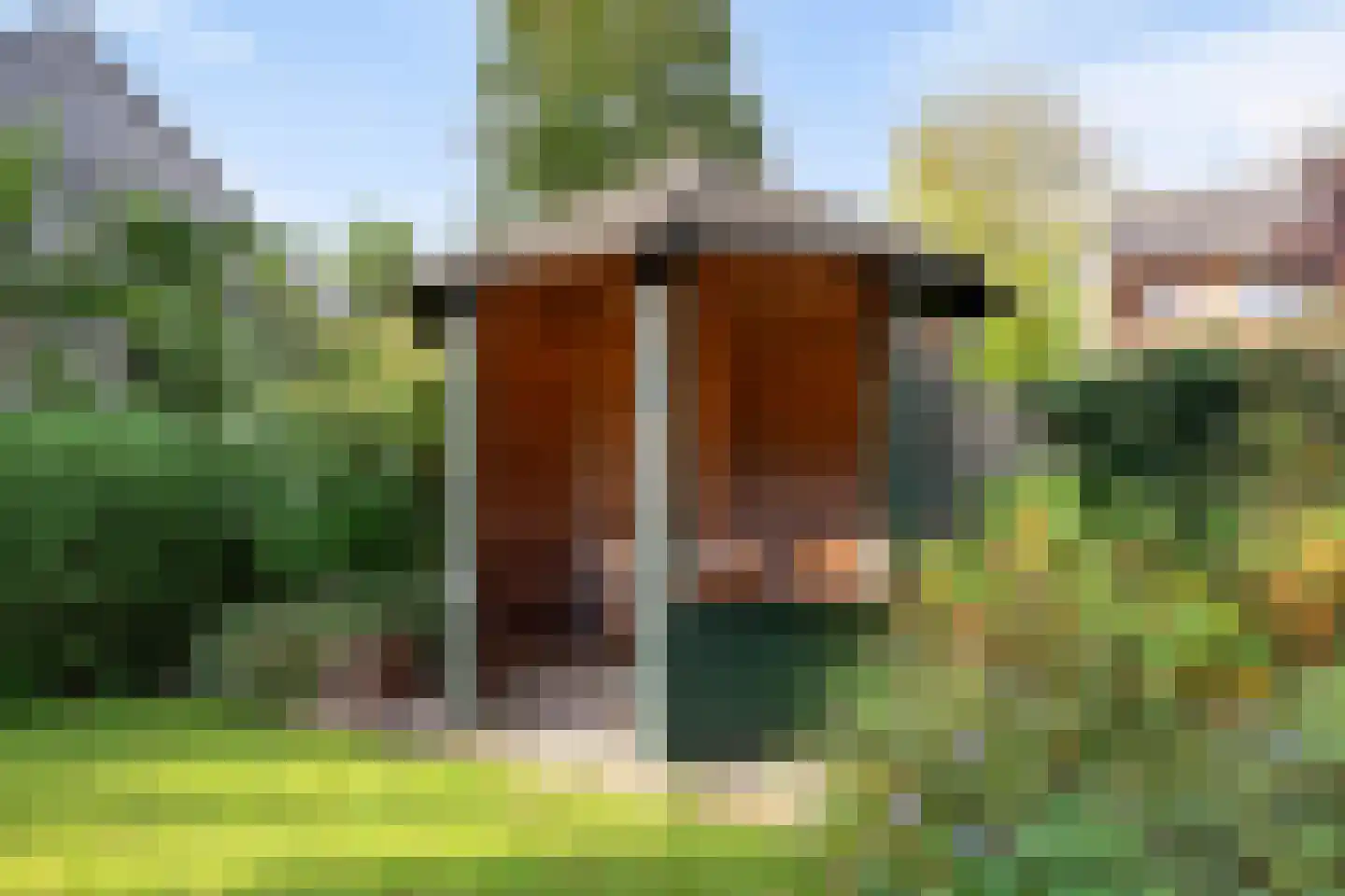 Dukasstraat 10 Heemskerk thumbnail 67