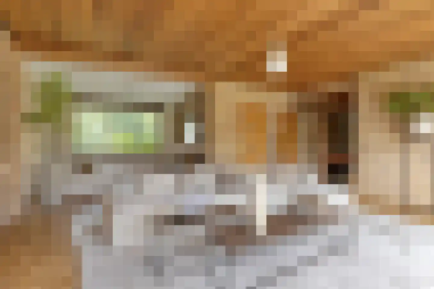 Dukasstraat 4 Heemskerk thumbnail 10