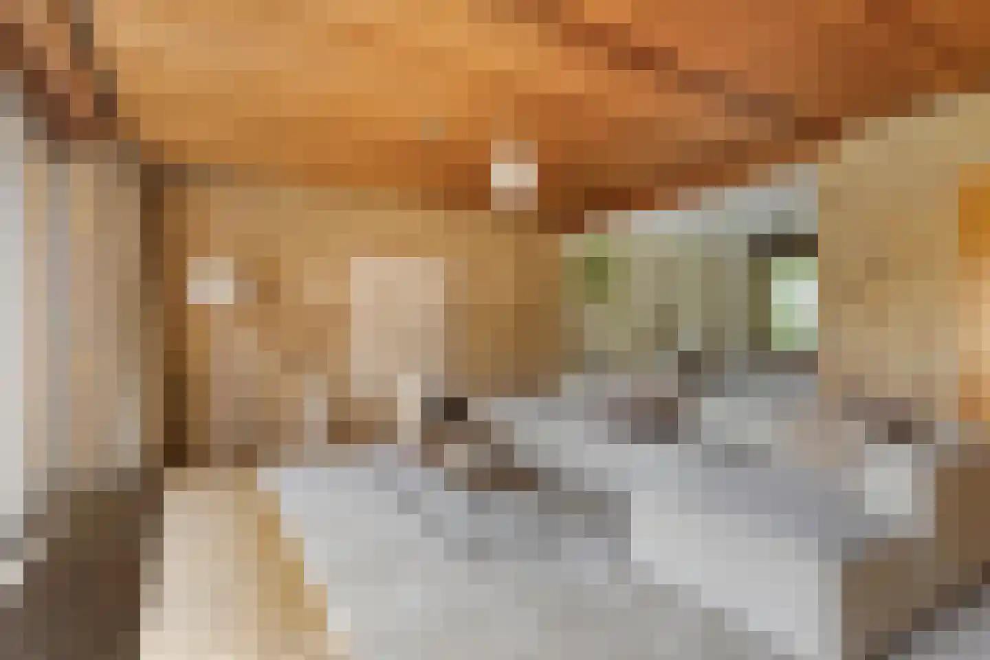 Dukasstraat 4 Heemskerk thumbnail 11