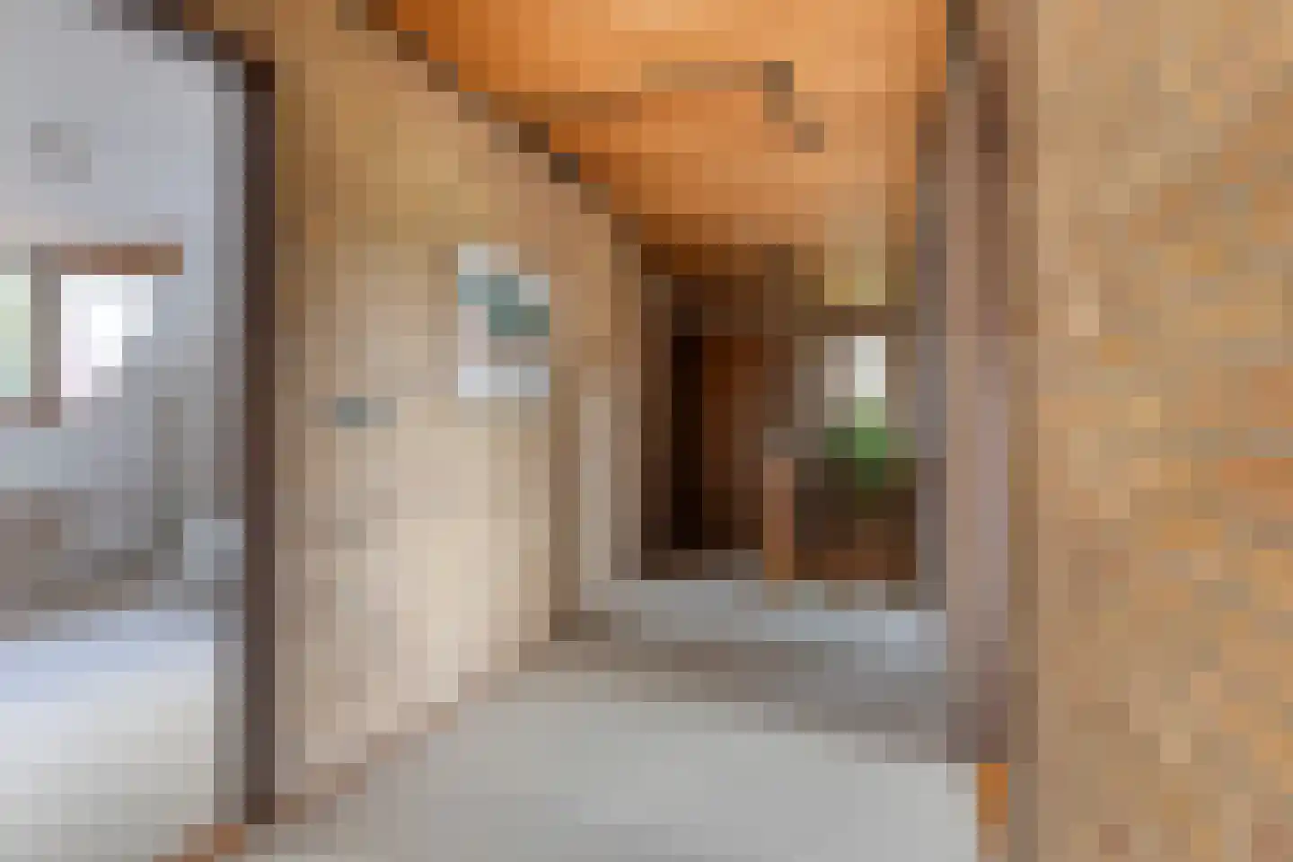 Dukasstraat 4 Heemskerk thumbnail 17