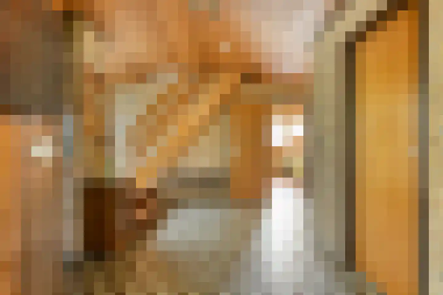 Dukasstraat 4 Heemskerk thumbnail 19