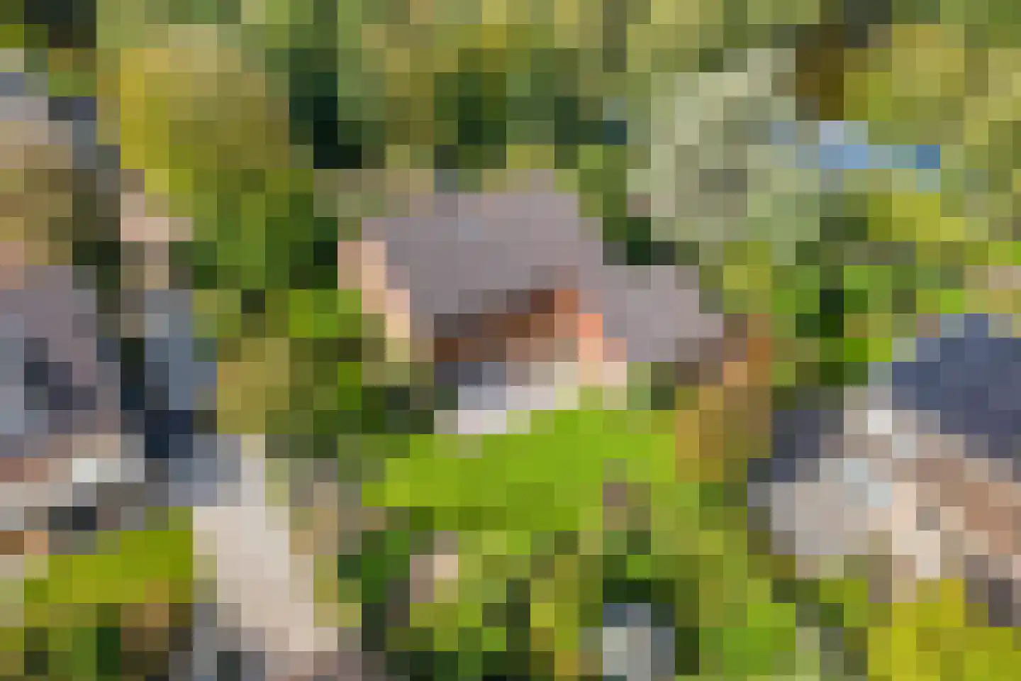 Dukasstraat 4 Heemskerk thumbnail 34