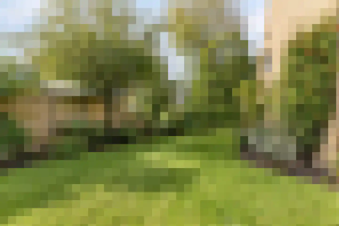 Dukasstraat 4 Heemskerk thumbnail 37