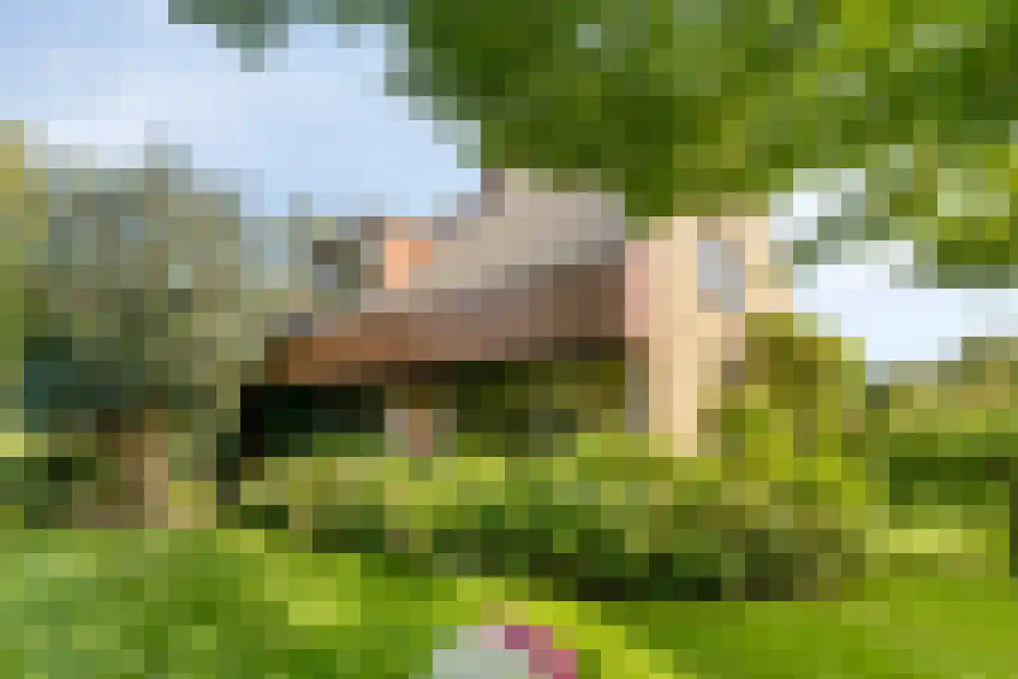 Dukasstraat 4 Heemskerk thumbnail 38
