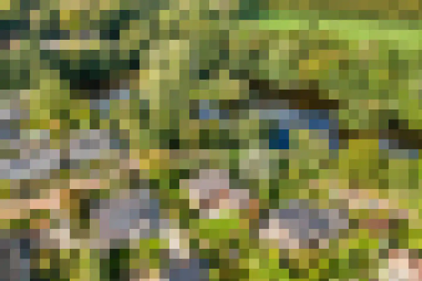 Dukasstraat 4 Heemskerk thumbnail 4