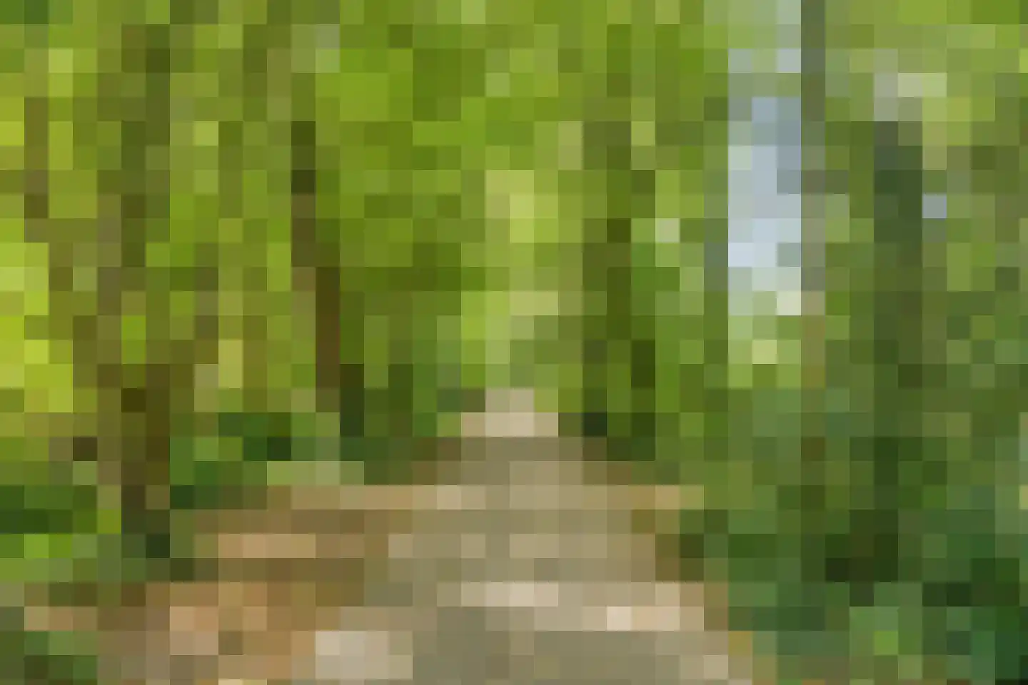 Dukasstraat 4 Heemskerk thumbnail 43