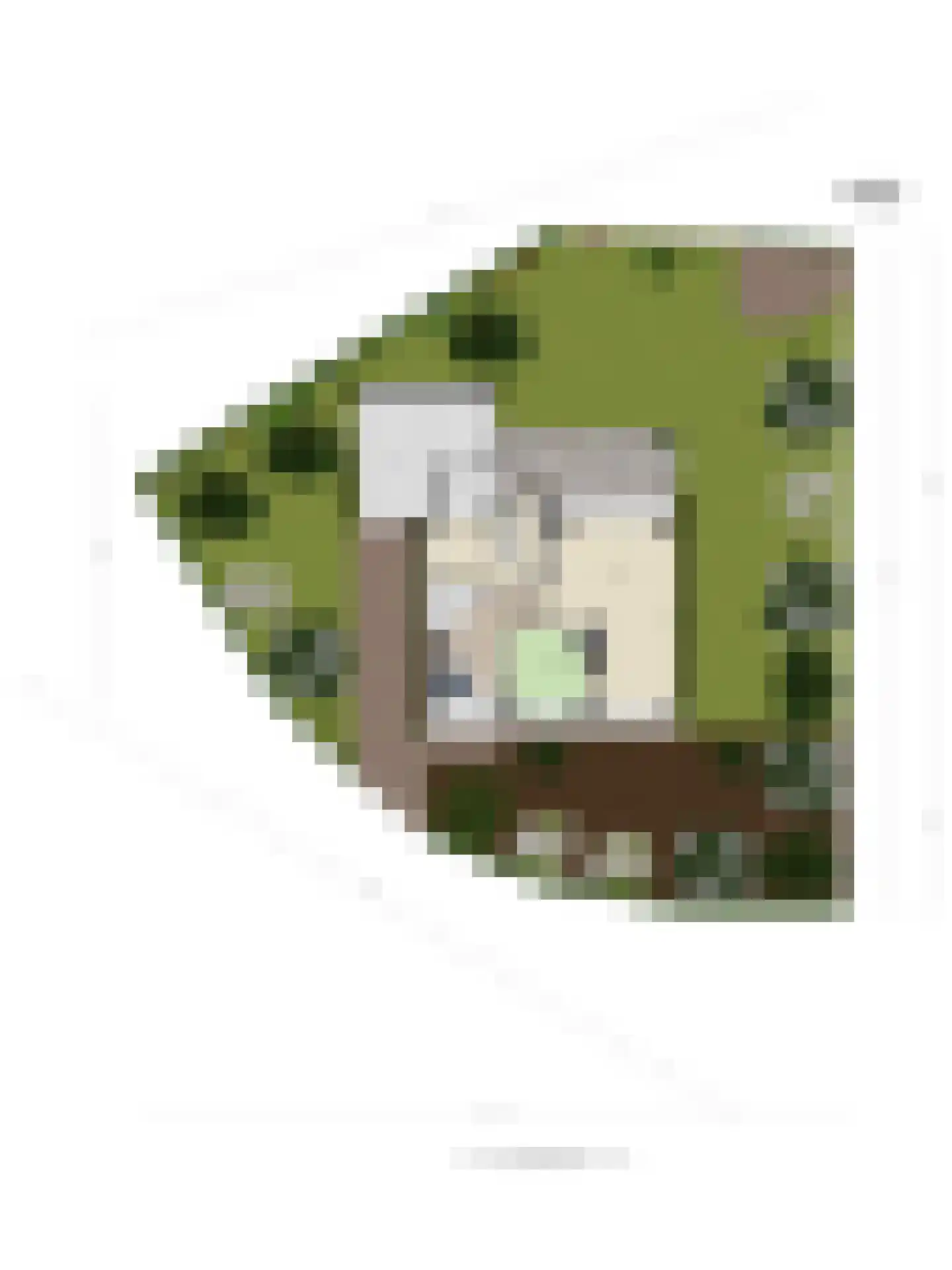 Dukasstraat 4 Heemskerk thumbnail 49