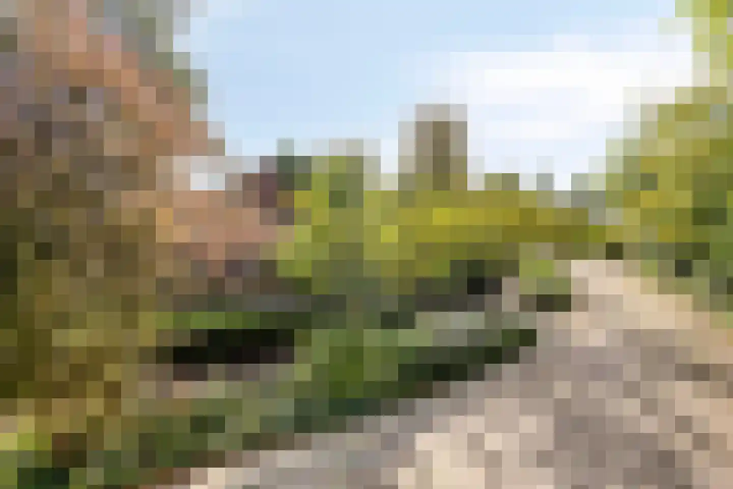 Dukasstraat 4 Heemskerk thumbnail 7