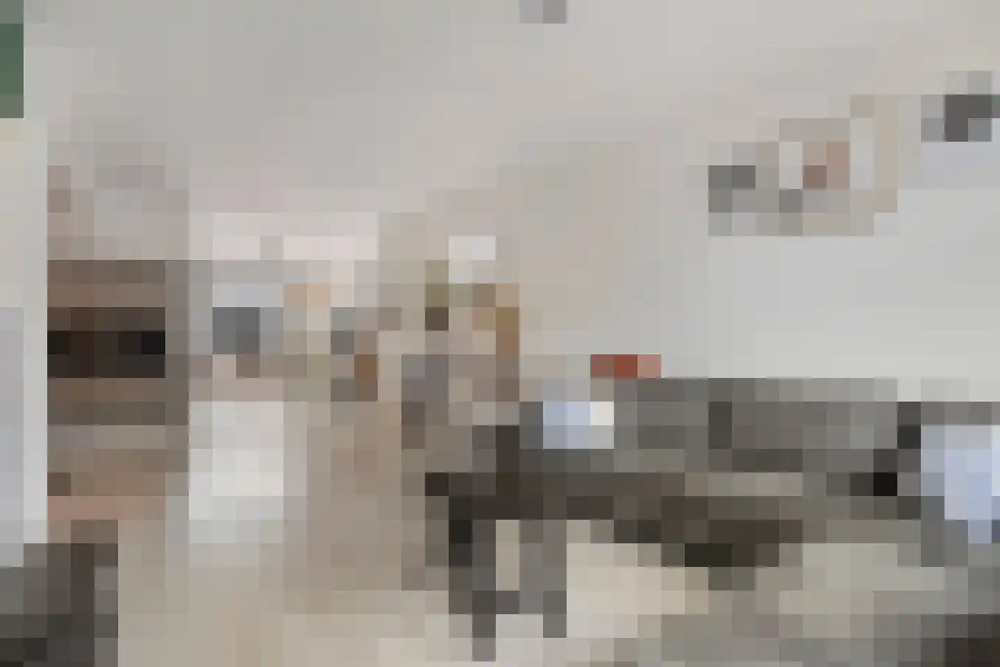 Dukatendreef 20 Cuijk thumbnail 15