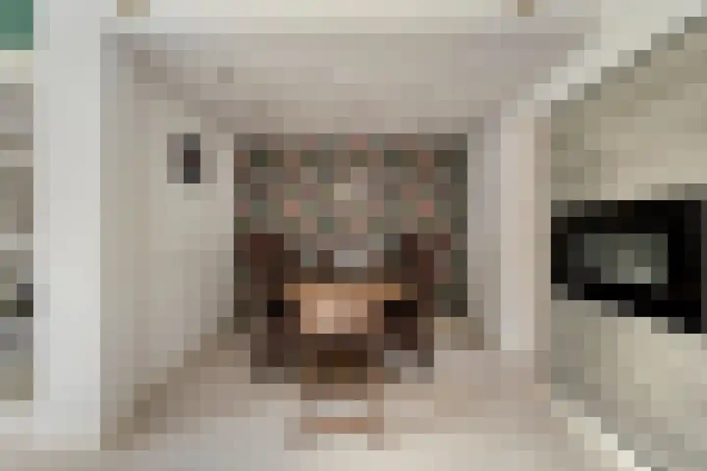 Dukatendreef 20 Cuijk thumbnail 16