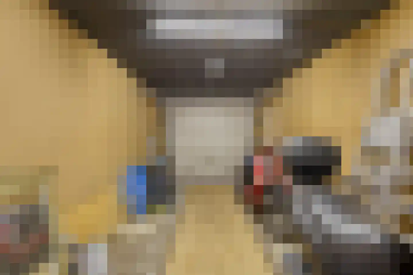 Dukatendreef 20 Cuijk thumbnail 41