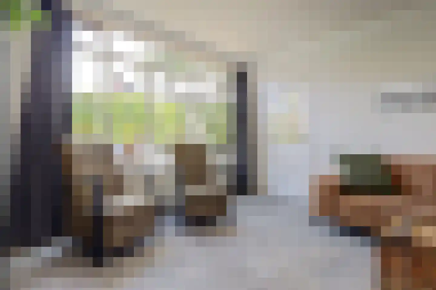 Dukatendreef 3 Cuijk thumbnail 10