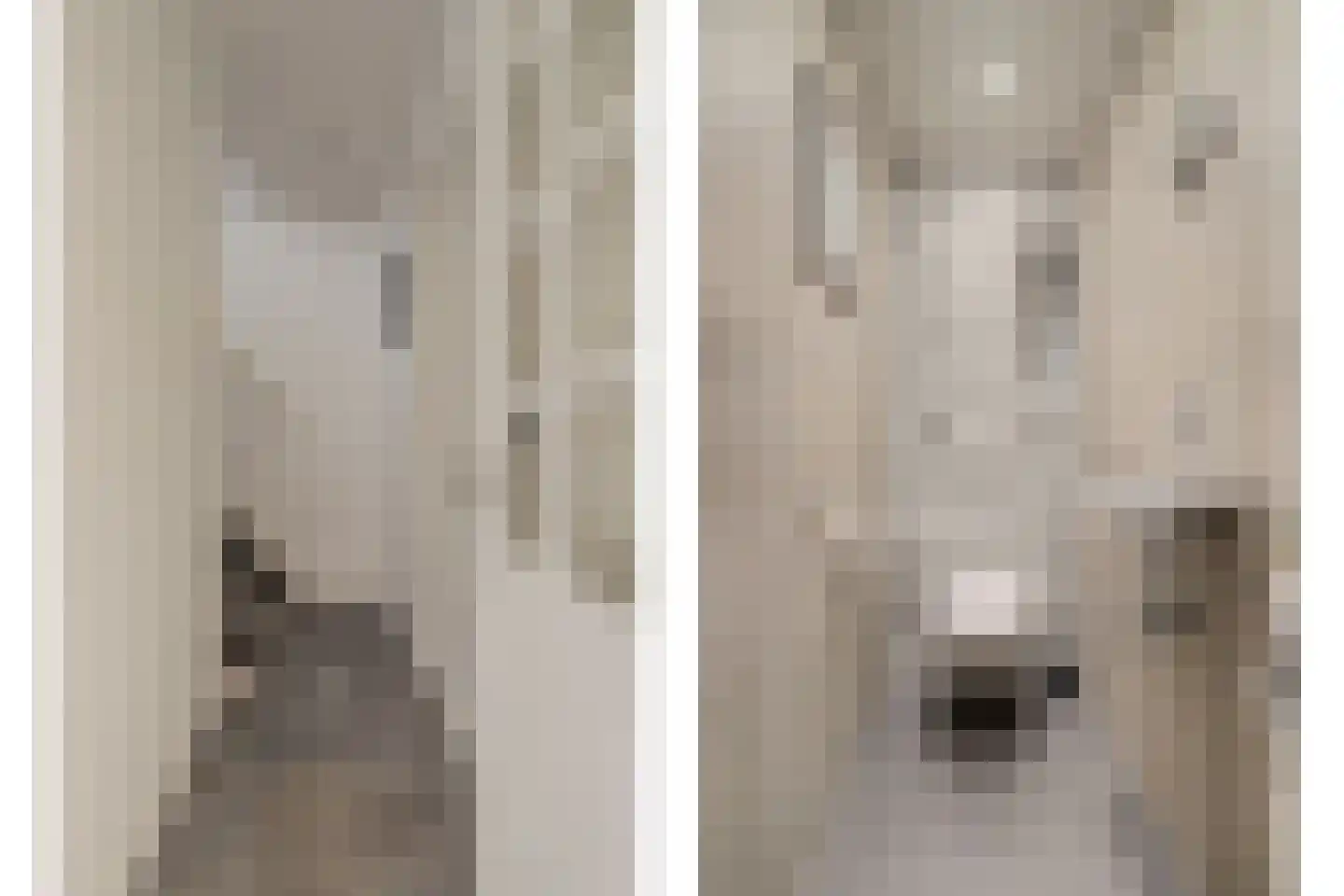 Dukatendreef 3 Cuijk thumbnail 24