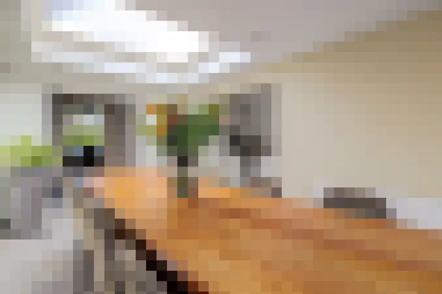 Dukatendreef 3 Cuijk thumbnail 4