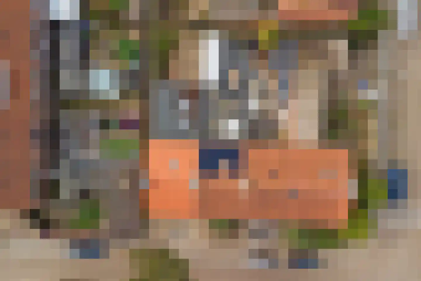 Dukatendreef 3 Cuijk thumbnail 47