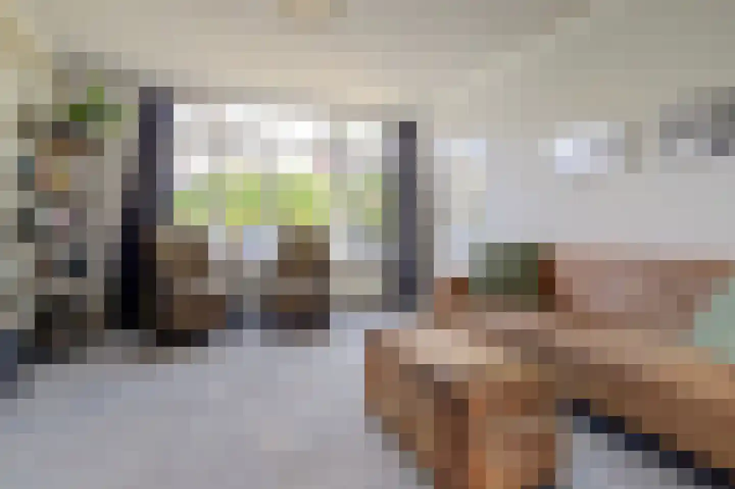 Dukatendreef 3 Cuijk thumbnail 9