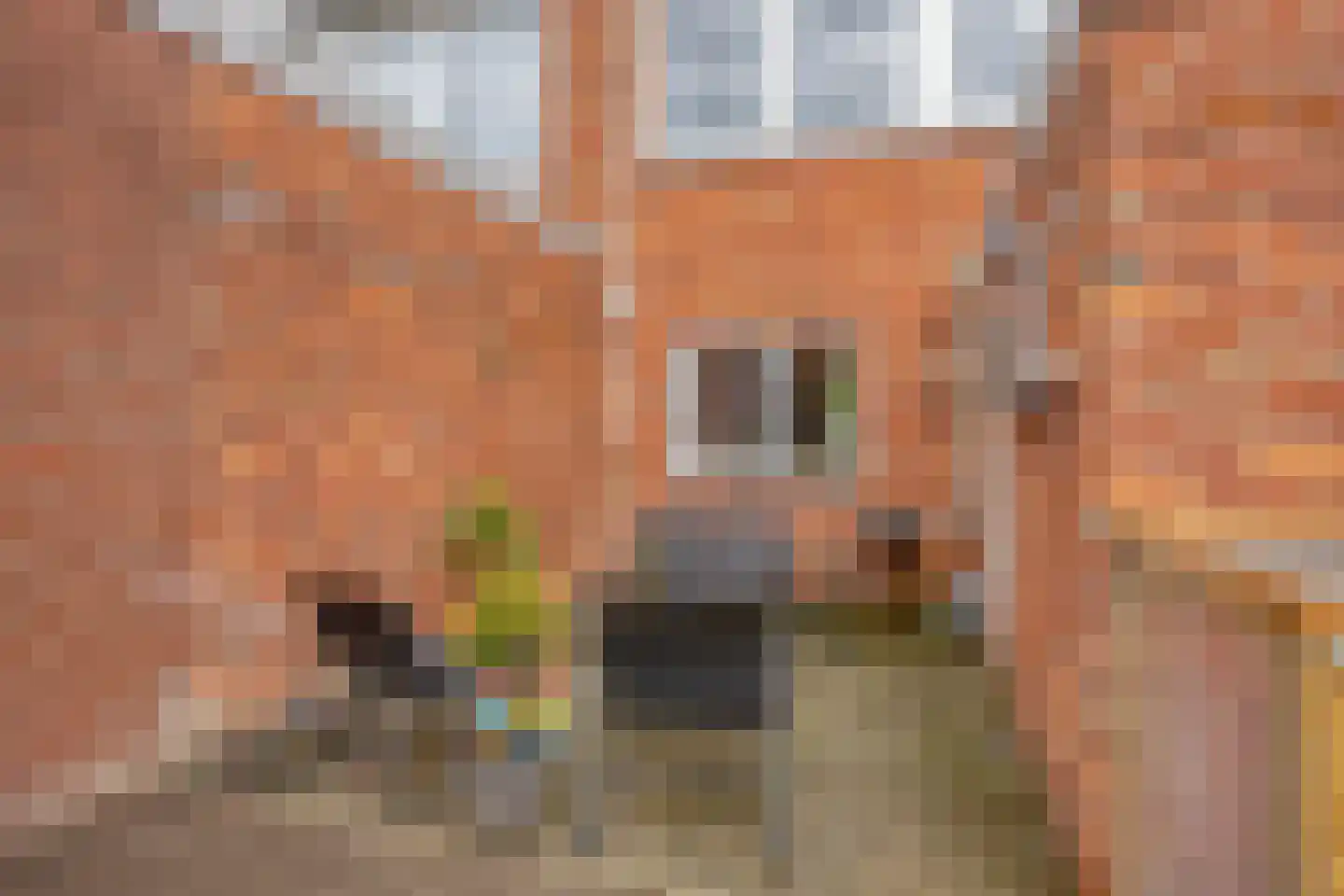 Dukatendreef 5 Cuijk thumbnail 33