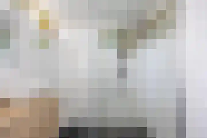 Dukatendreef 6 Cuijk thumbnail 16
