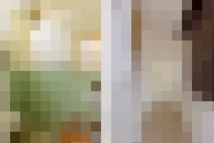 Dukatendreef 6 Cuijk thumbnail 28