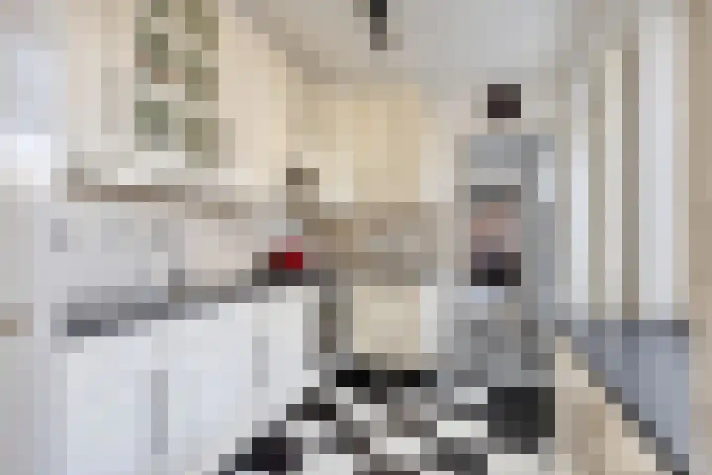 Dukaton 44 Volendam thumbnail 14