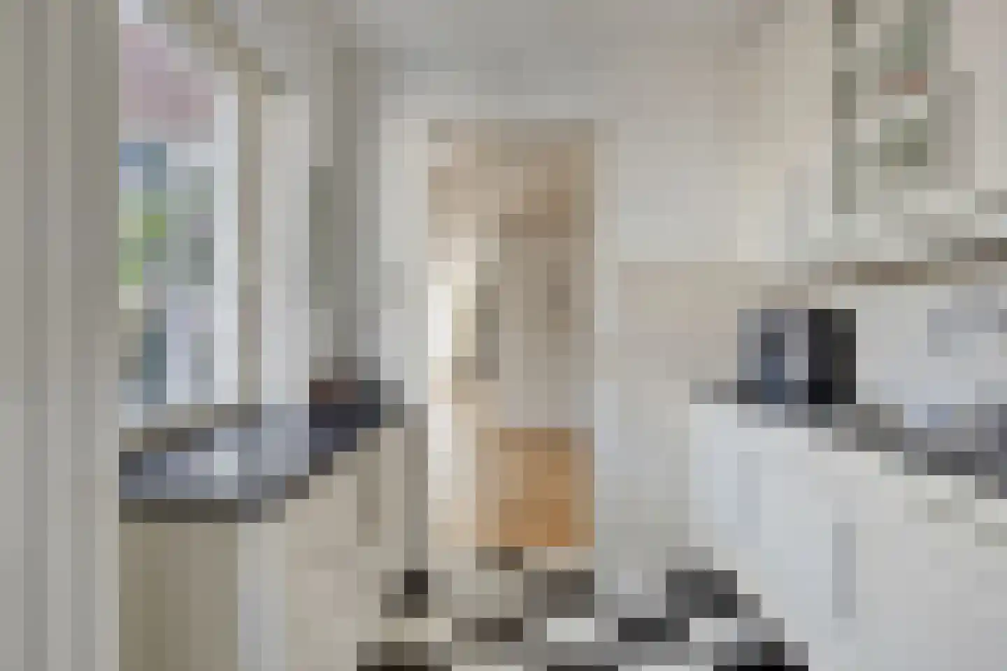 Dukaton 44 Volendam thumbnail 15
