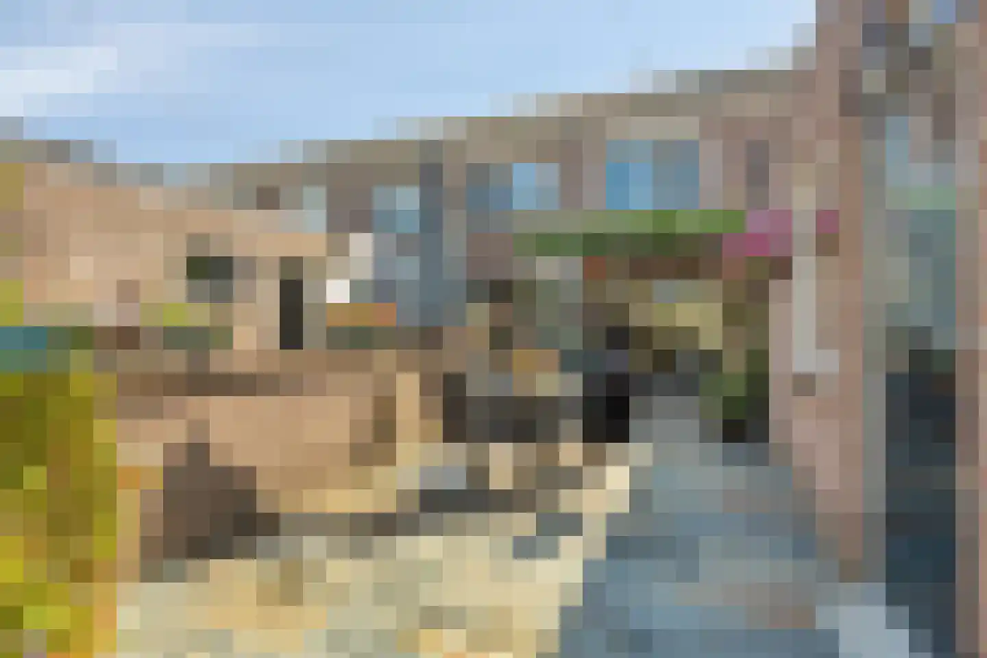 Dukaton 44 Volendam thumbnail 4