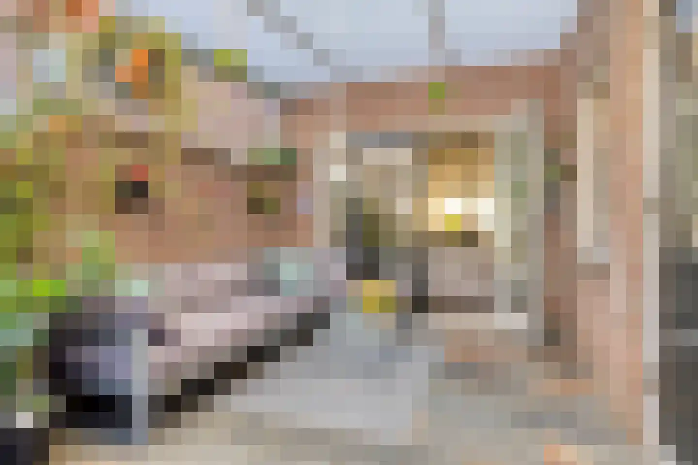 Dukaton 44 Volendam thumbnail 5