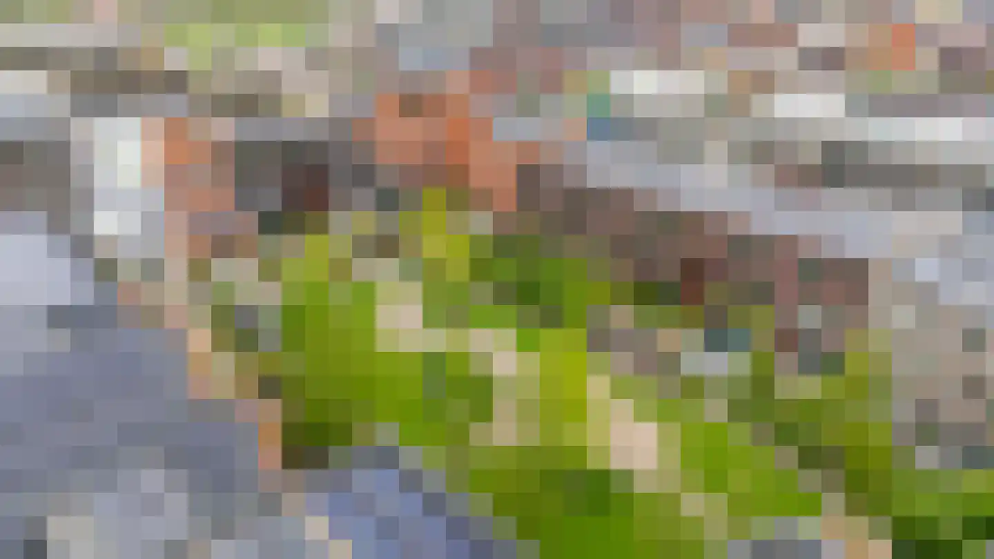 Dukatonplantsoen 3 Utrecht thumbnail 39