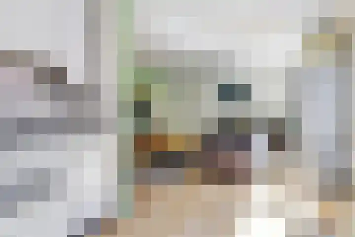 Dukdalf 1 d Wijk bij Duurstede thumbnail 10