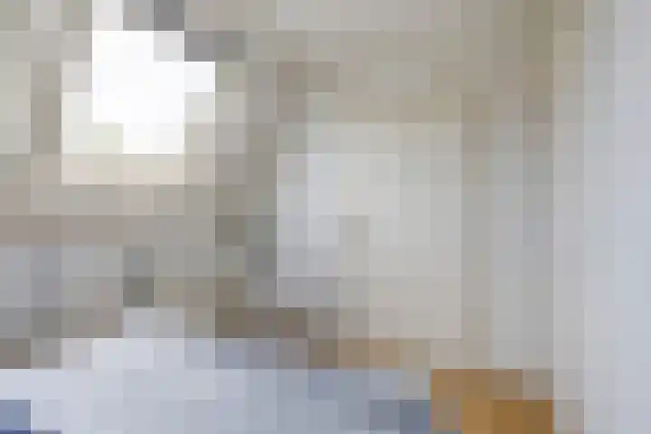 Dukdalf 1 d Wijk bij Duurstede thumbnail 12