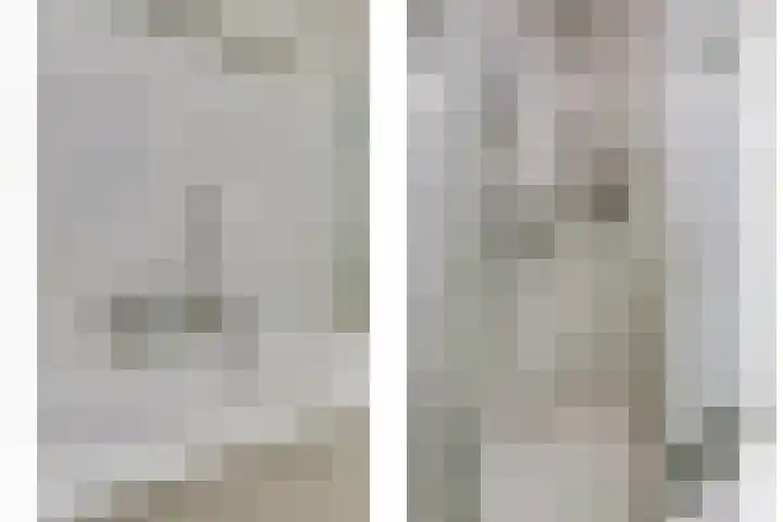 Dukdalf 1 d Wijk bij Duurstede thumbnail 16