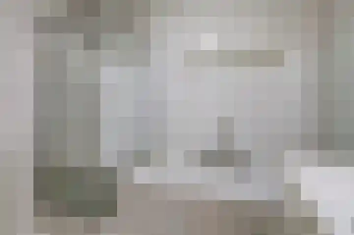 Dukdalf 1 d Wijk bij Duurstede thumbnail 17