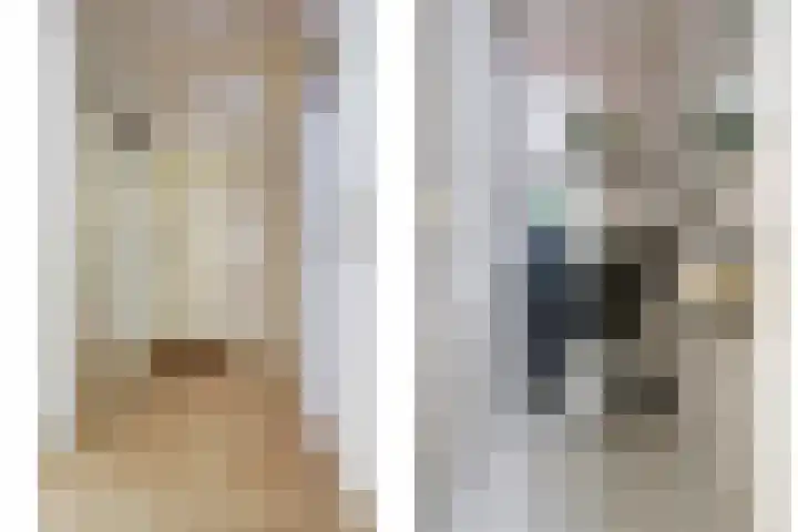 Dukdalf 1 d Wijk bij Duurstede thumbnail 18
