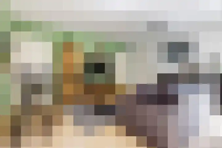 Dukdalf 1 d Wijk bij Duurstede foto 2