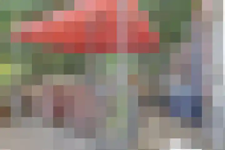Dukdalf 1 d Wijk bij Duurstede thumbnail 20