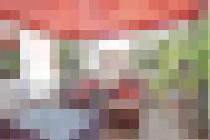 Dukdalf 1 d Wijk bij Duurstede thumbnail 21