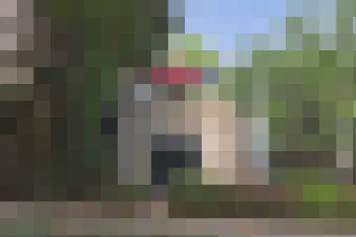 Dukdalf 1 d Wijk bij Duurstede thumbnail 23