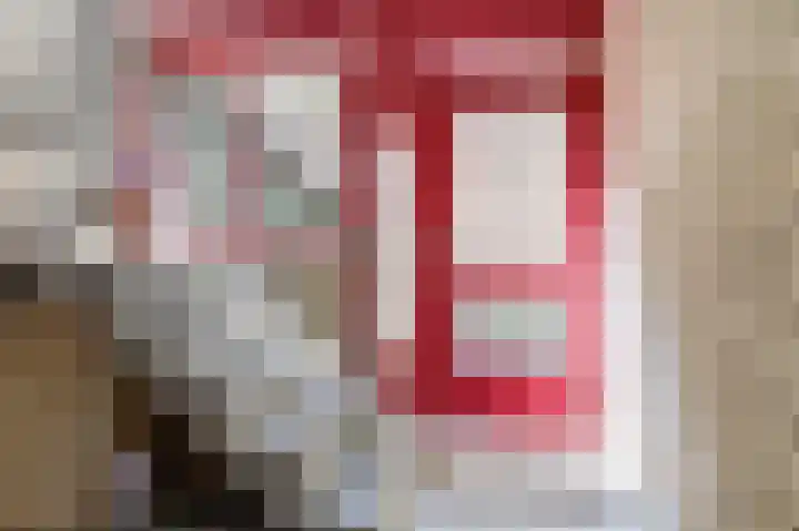 Dukdalf 1 d Wijk bij Duurstede thumbnail 26